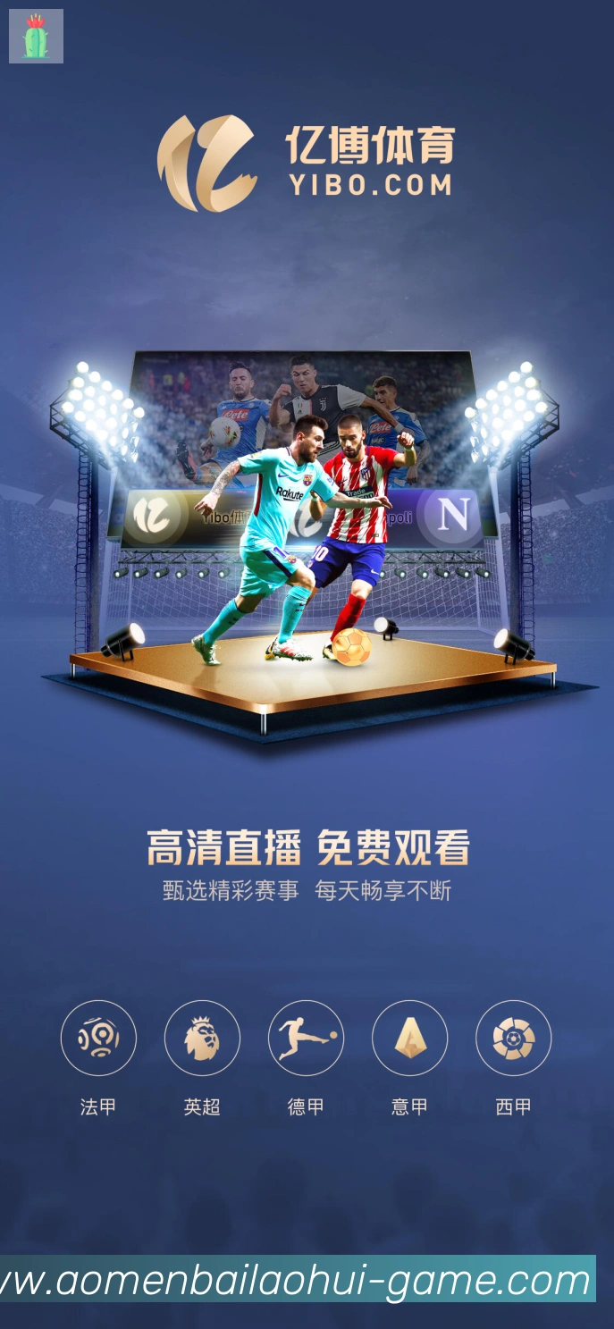 未来规划